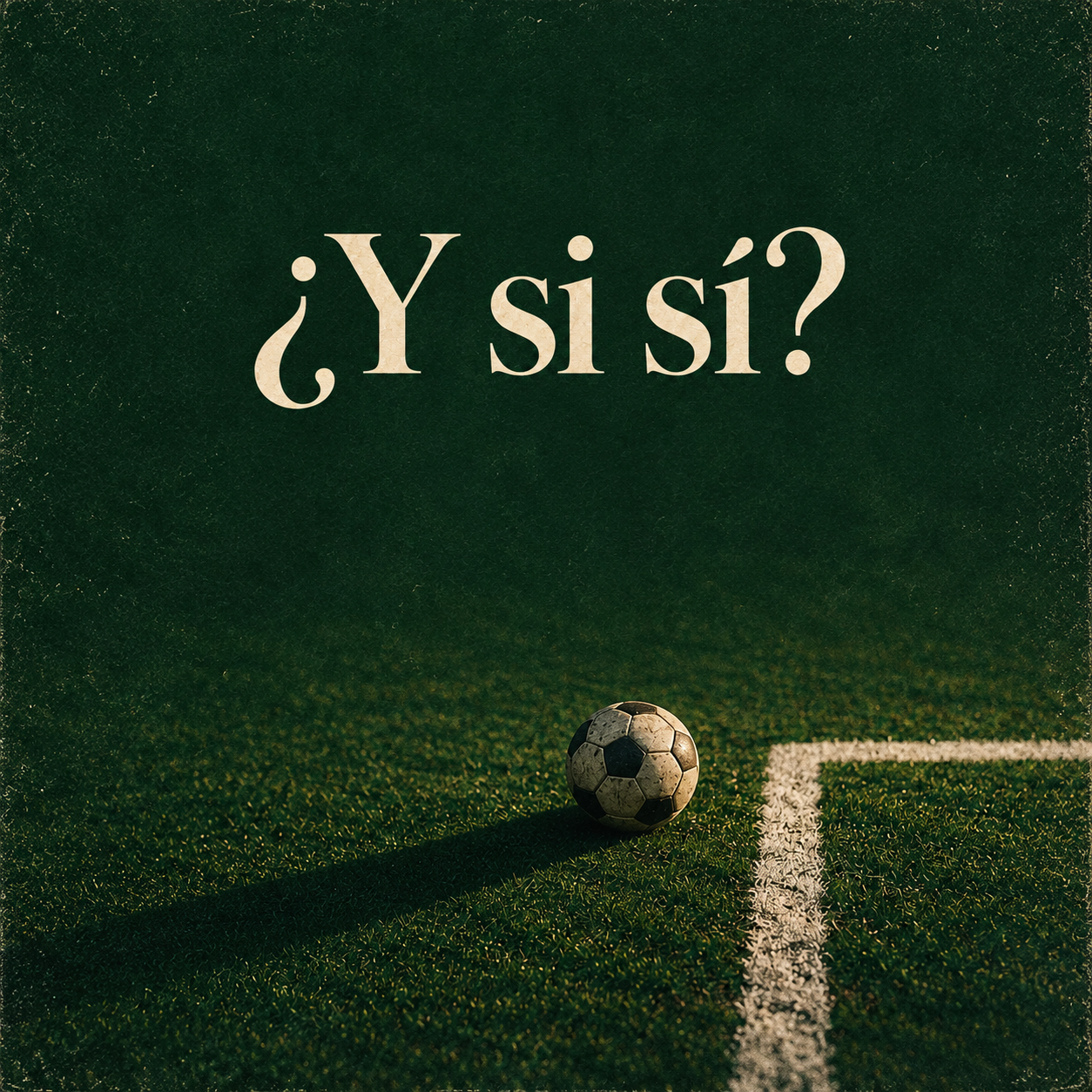 ¿Y si sí?